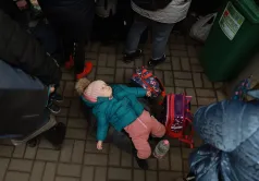 Sophia, lies on a piece of luggage
